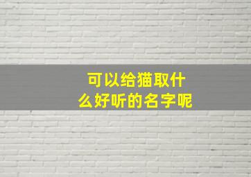 可以给猫取什么好听的名字呢,可以给猫起什么名字好听