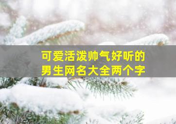 可爱活泼帅气好听的男生网名大全两个字,好听的网名男生可爱型二个字