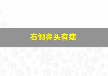 右侧鼻头有痣,鼻子准头右侧有痣