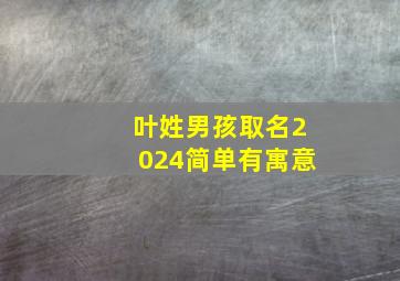 叶姓男孩取名2024简单有寓意,2024年叶姓男孩取名霸气