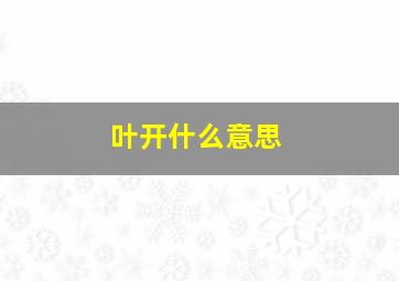 叶开什么意思,叶开是什么样的人