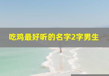 吃鸡最好听的名字2字男生,吃鸡好听的名字两个字男生