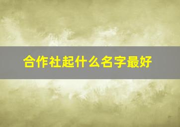 合作社起什么名字最好