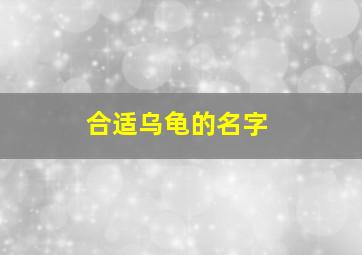 合适乌龟的名字,乌龟的名字取什么最好?