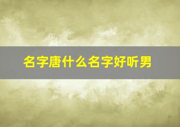 名字唐什么名字好听男,唐名字男孩好听