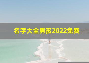 名字大全男孩2022免费,2022年男孩名字大全取名好听的男孩名字