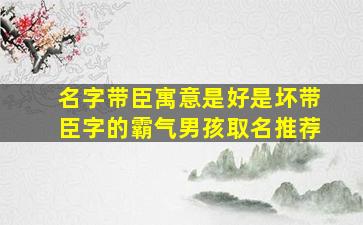 名字带臣寓意是好是坏带臣字的霸气男孩取名推荐,名字中带有臣字好不好?