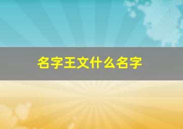 名字王文什么名字,宝宝名字叫王文什么好