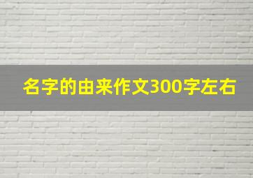 名字的由来作文300字左右