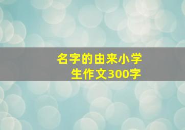 名字的由来小学生作文300字,名字的由来作文350字