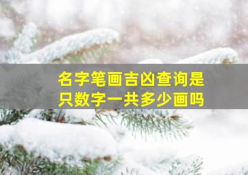 名字笔画吉凶查询是只数字一共多少画吗,名字的笔画数吉凶可信吗