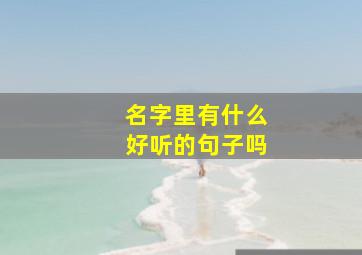 名字里有什么好听的句子吗,名字里有好的名字