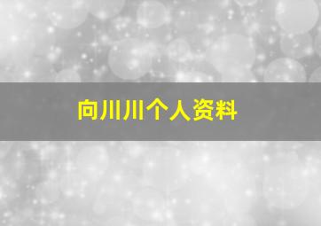 向川川个人资料