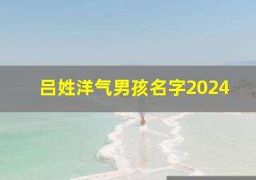 吕姓洋气男孩名字2024,吕姓洋气男孩名字2024年属虎