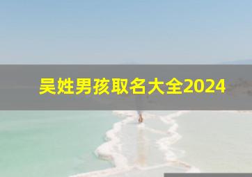 吴姓男孩取名大全2024