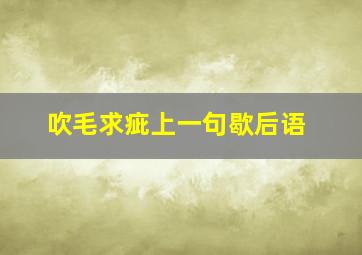 吹毛求疵上一句歇后语,吹毛求疵的出处