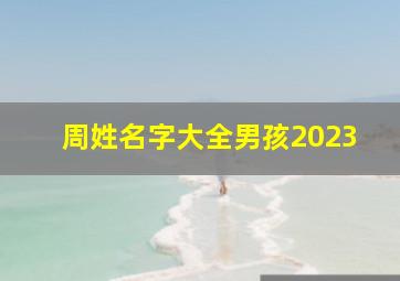 周姓名字大全男孩2023,姓周男孩取什么名字好听