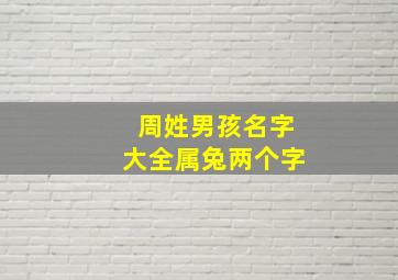 周姓男孩名字大全属兔两个字,周姓男宝宝起名大全2024两字