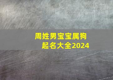 周姓男宝宝属狗起名大全2024,周姓男宝宝属狗起名大全2024年