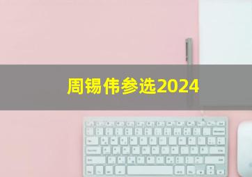 周锡伟参选2024