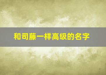 和司藤一样高级的名字