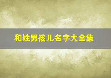 和姓男孩儿名字大全集,和姓起什么名字