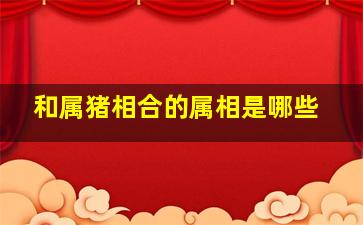 和属猪相合的属相是哪些,和属猪相克的生肖有哪些后果