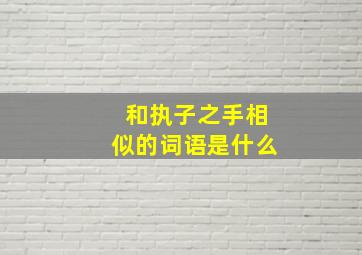 和执子之手相似的词语是什么,与“执子之手