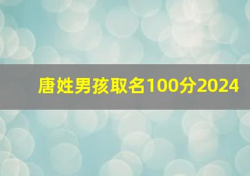 唐姓男孩取名100分2024,唐姓男孩取名100分的