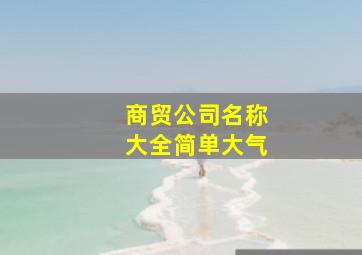 商贸公司名称大全简单大气,大气的商贸公司名字贸易公司名称简单大气