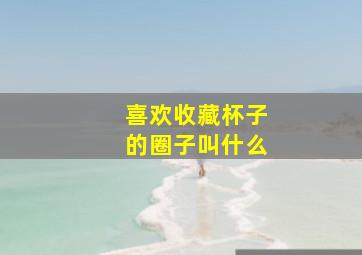 喜欢收藏杯子的圈子叫什么