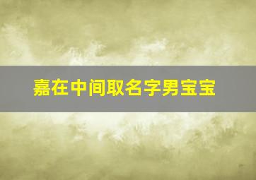 嘉在中间取名字男宝宝,名字中带嘉的男孩名字