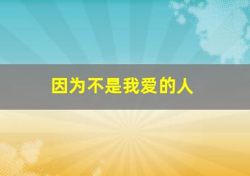 因为不是我爱的人,因为不是我爱的人歌词