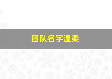 团队名字温柔,团队名字唯美