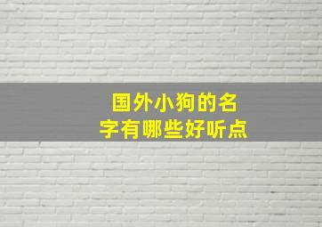 国外小狗的名字有哪些好听点,国外狗狗的名字大全