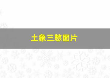 土象三憋图片,为什么土象星座最可怕