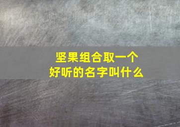 坚果组合取一个好听的名字叫什么,坚果组合取一个好听的名字叫什么来着