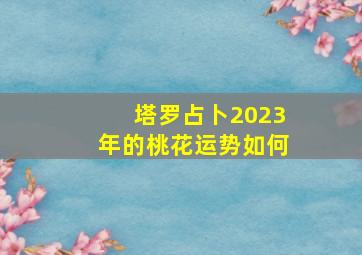 塔罗占卜2023年的桃花运势如何,2023年属猴的桃花方位