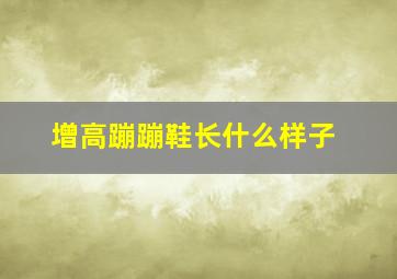 增高蹦蹦鞋长什么样子,蹦蹦能长高