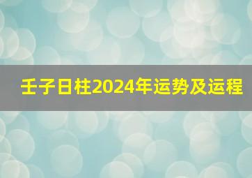 壬子日柱2024年运势及运程,壬子日2024年