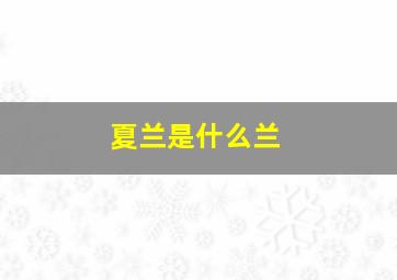 夏兰是什么兰,夏天开花的兰花是什么花