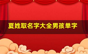 夏姓取名字大全男孩单字,夏姓取名有内涵的名字男孩