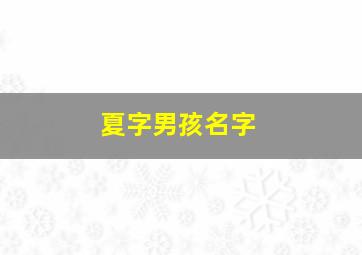 夏字男孩名字,夏字的男孩名