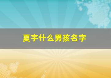 夏宇什么男孩名字,夏宇辰这个名字好吗