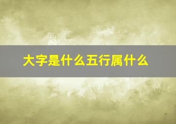 大字是什么五行属什么,大字五行属什么的属性