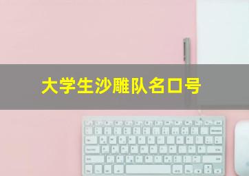 大学生沙雕队名口号,大学生沙雕团队名字