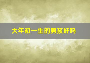 大年初一生的男孩好吗,大年初一生的男孩好吗贴吧