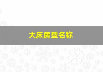 大床房型名称,大床房类型