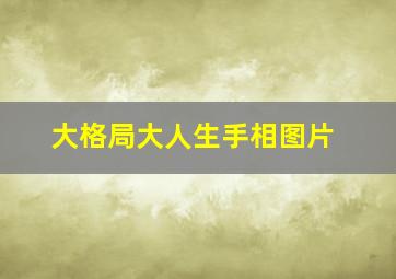 大格局大人生手相图片,手中有肉饱满的男人手相