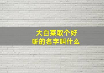 大白菜取个好听的名字叫什么,